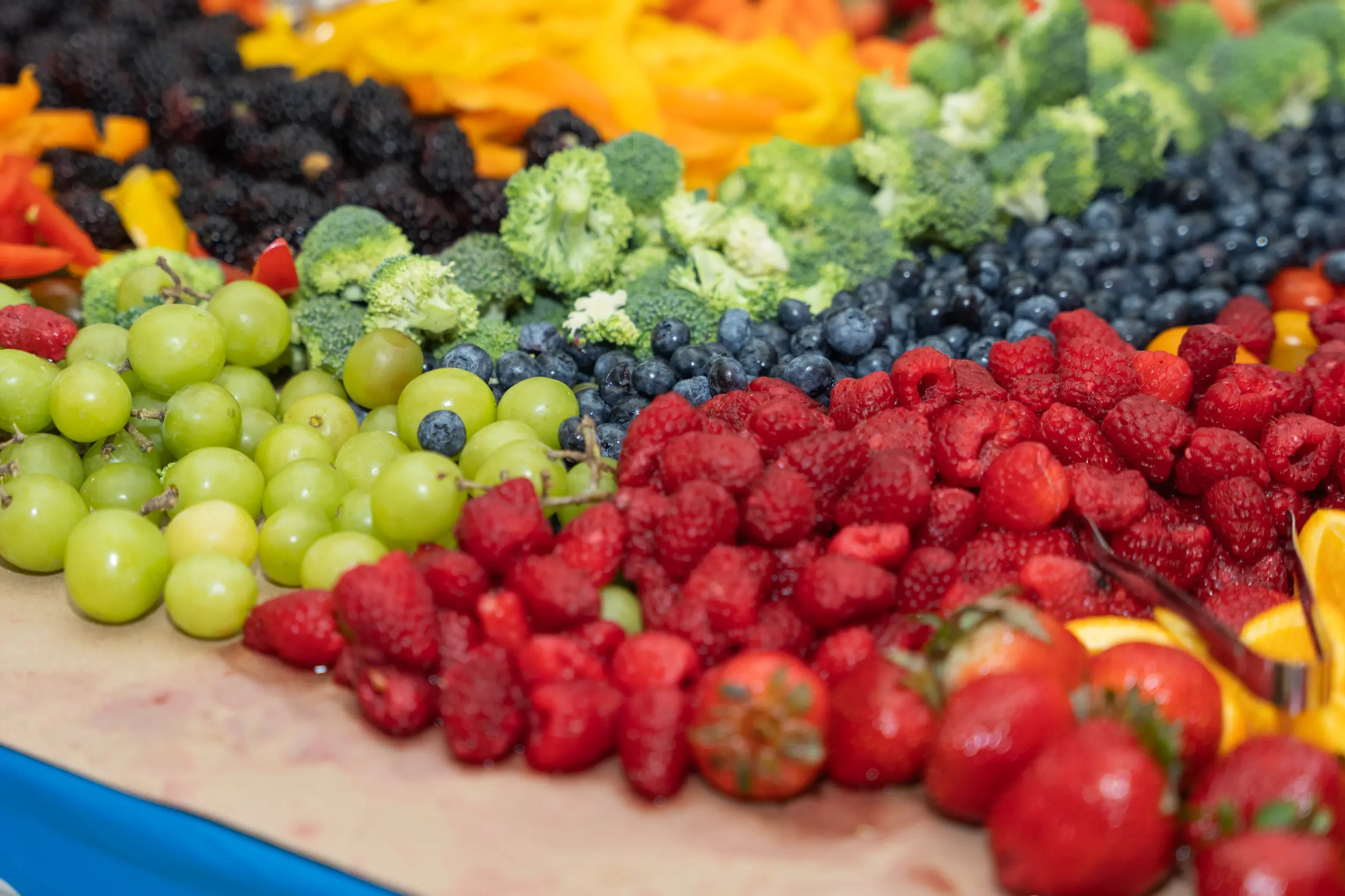 Martha and Tina Wedding - Madison, WI