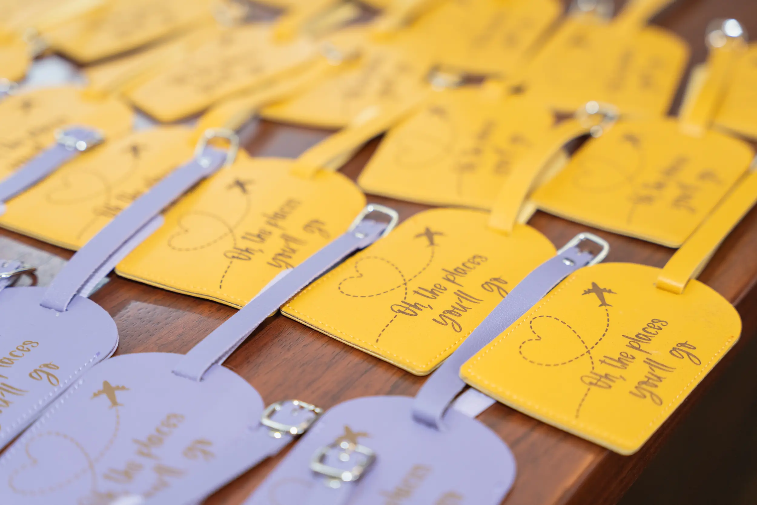 Martha and Tina Wedding - Madison, WI