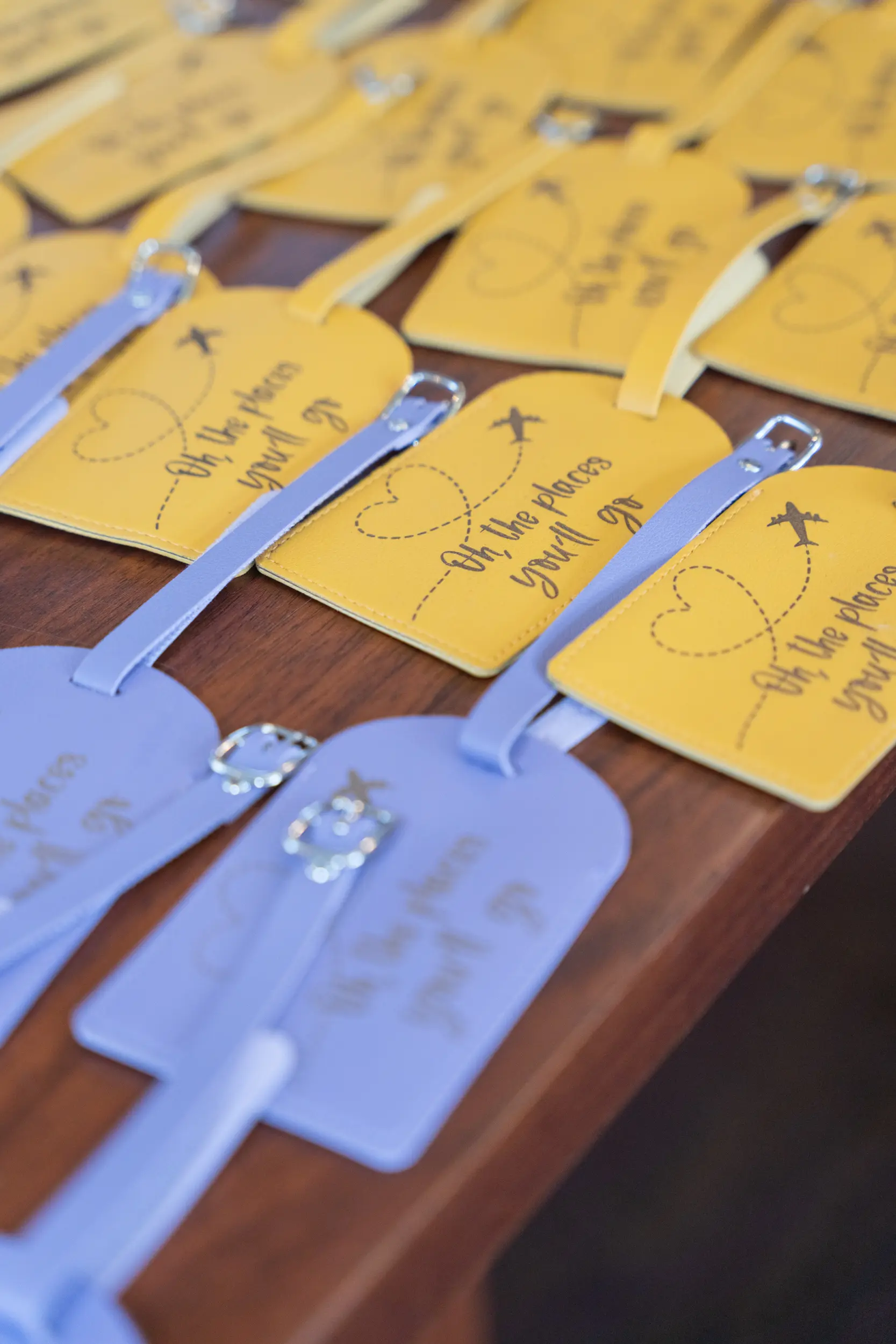 Martha and Tina Wedding - Madison, WI