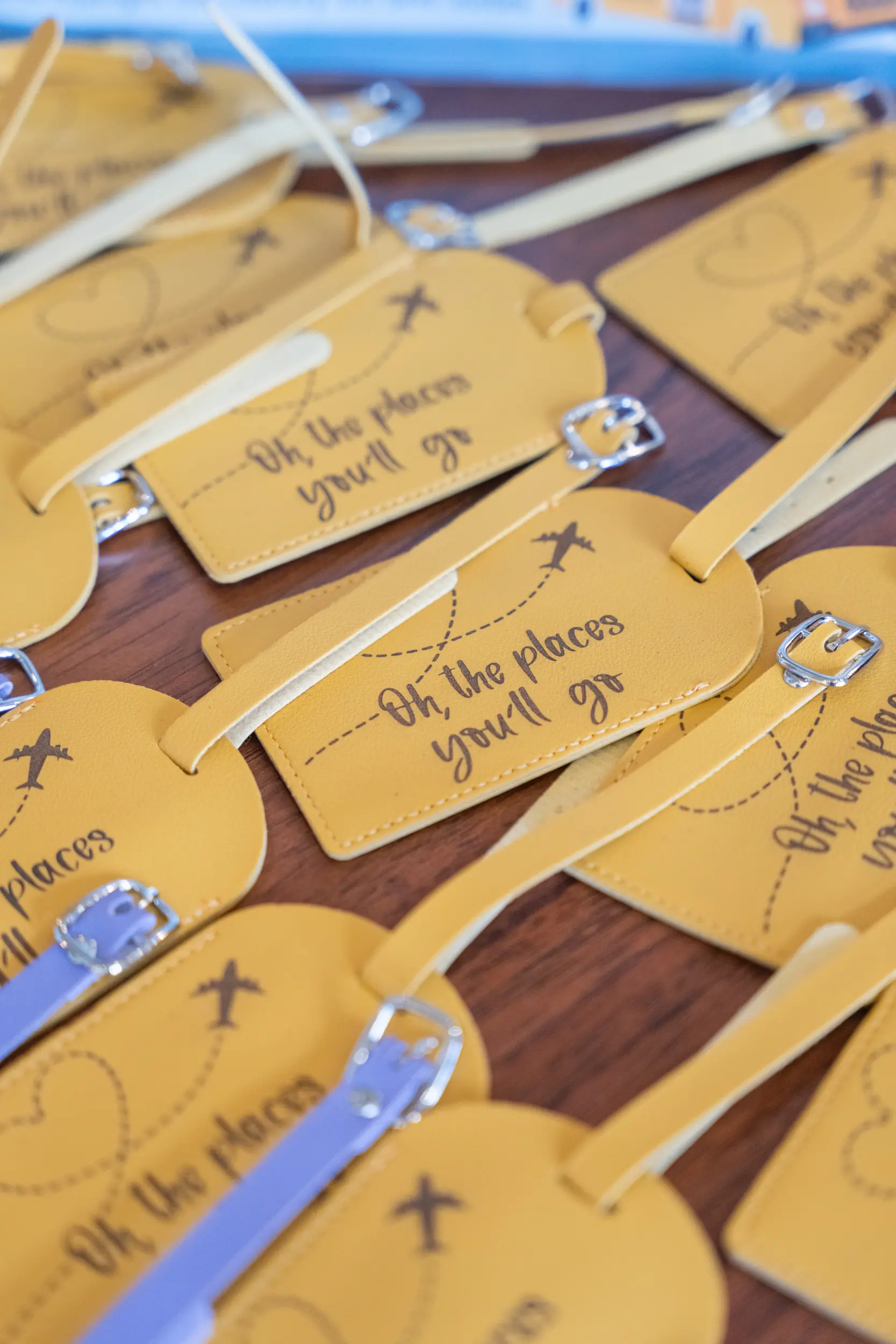 Martha and Tina Wedding - Madison, WI