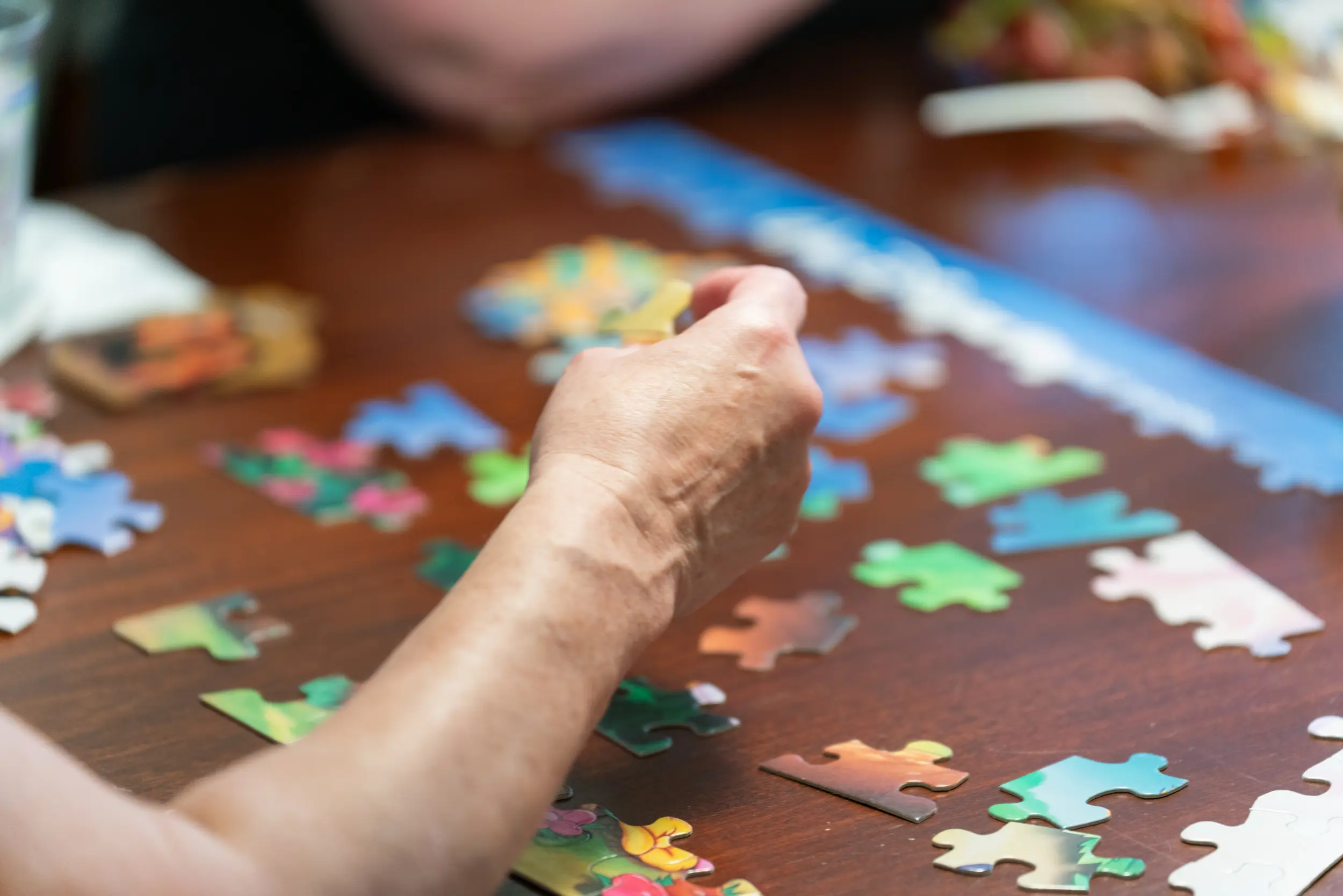 Martha and Tina Wedding - Madison, WI