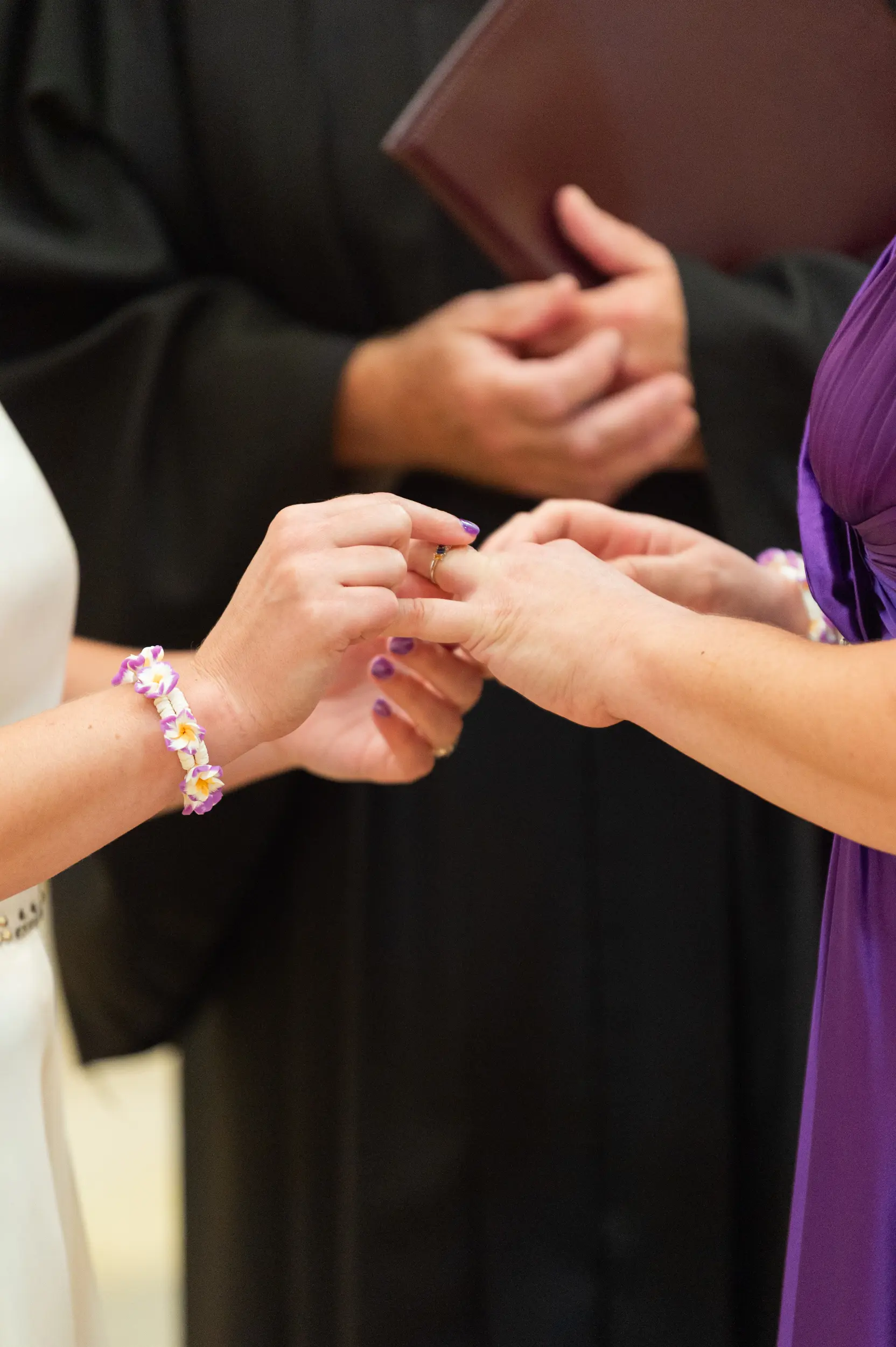 Martha and Tina Wedding - Madison, WI